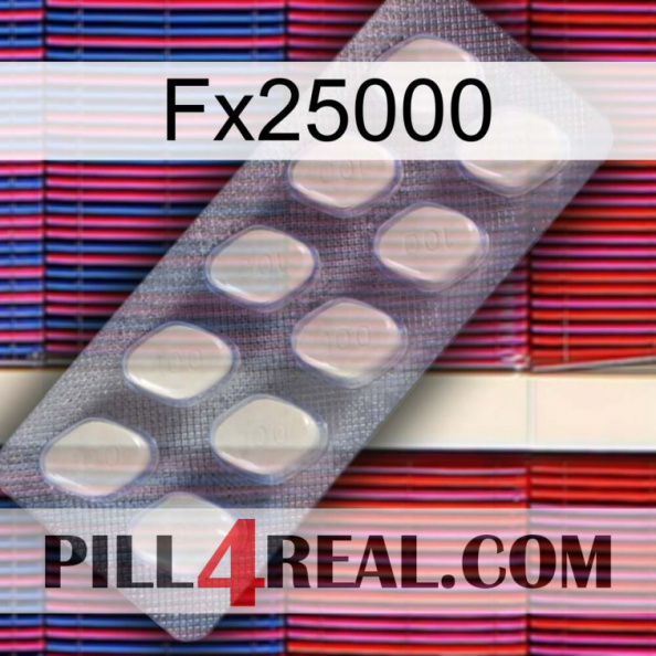 Fx25000 08.jpg